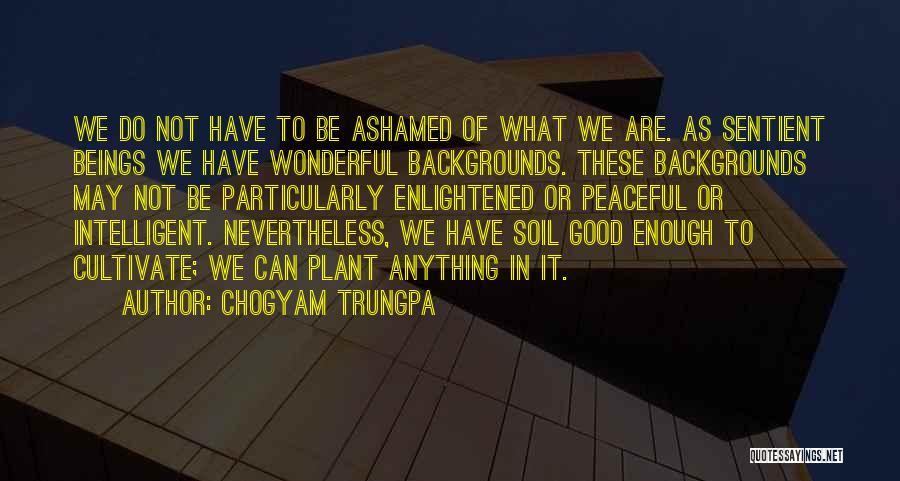 Chogyam Trungpa Quotes: We Do Not Have To Be Ashamed Of What We Are. As Sentient Beings We Have Wonderful Backgrounds. These Backgrounds