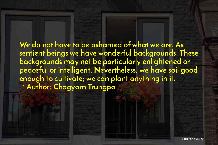 Chogyam Trungpa Quotes: We Do Not Have To Be Ashamed Of What We Are. As Sentient Beings We Have Wonderful Backgrounds. These Backgrounds
