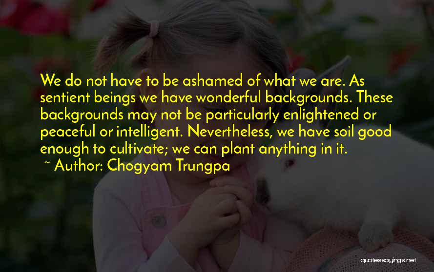 Chogyam Trungpa Quotes: We Do Not Have To Be Ashamed Of What We Are. As Sentient Beings We Have Wonderful Backgrounds. These Backgrounds