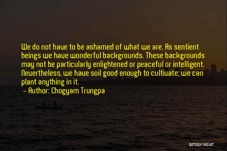 Chogyam Trungpa Quotes: We Do Not Have To Be Ashamed Of What We Are. As Sentient Beings We Have Wonderful Backgrounds. These Backgrounds