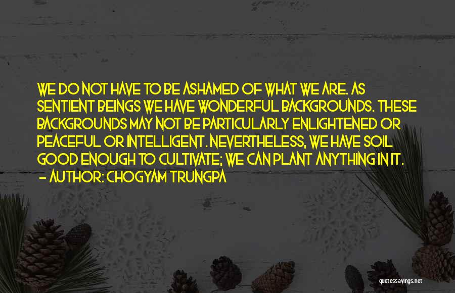 Chogyam Trungpa Quotes: We Do Not Have To Be Ashamed Of What We Are. As Sentient Beings We Have Wonderful Backgrounds. These Backgrounds