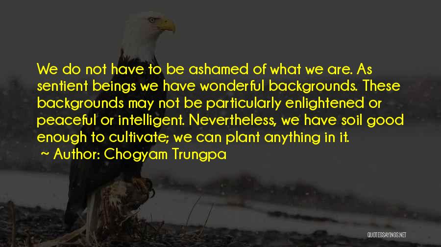 Chogyam Trungpa Quotes: We Do Not Have To Be Ashamed Of What We Are. As Sentient Beings We Have Wonderful Backgrounds. These Backgrounds