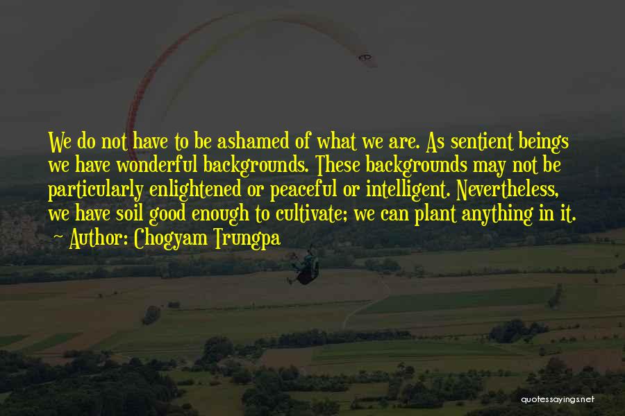 Chogyam Trungpa Quotes: We Do Not Have To Be Ashamed Of What We Are. As Sentient Beings We Have Wonderful Backgrounds. These Backgrounds