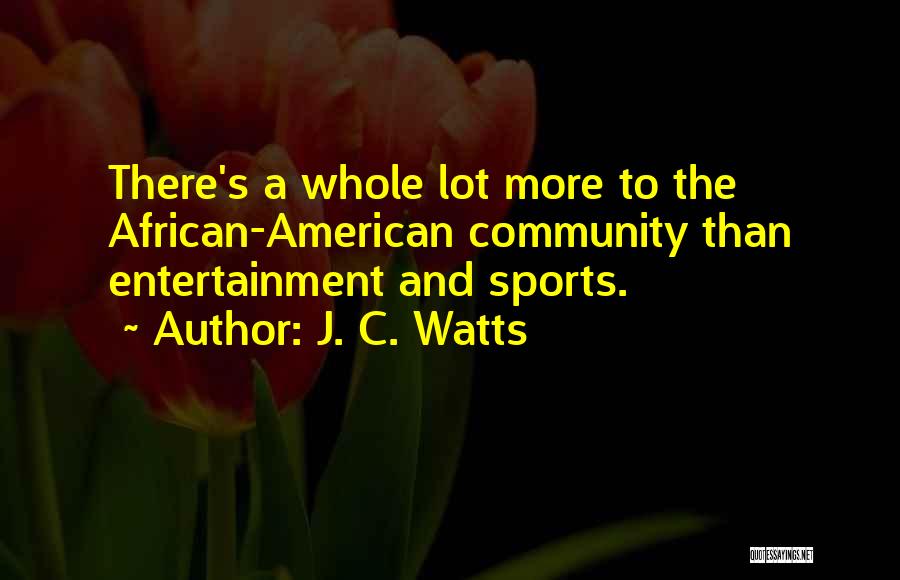 J. C. Watts Quotes: There's A Whole Lot More To The African-american Community Than Entertainment And Sports.