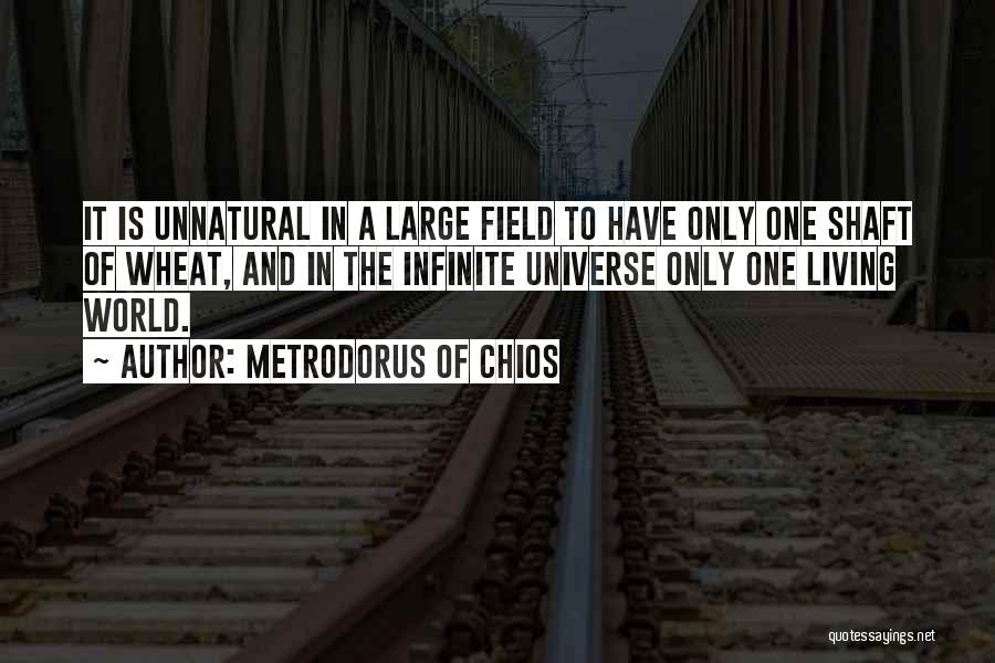 Metrodorus Of Chios Quotes: It Is Unnatural In A Large Field To Have Only One Shaft Of Wheat, And In The Infinite Universe Only