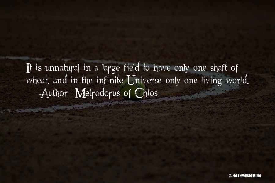 Metrodorus Of Chios Quotes: It Is Unnatural In A Large Field To Have Only One Shaft Of Wheat, And In The Infinite Universe Only