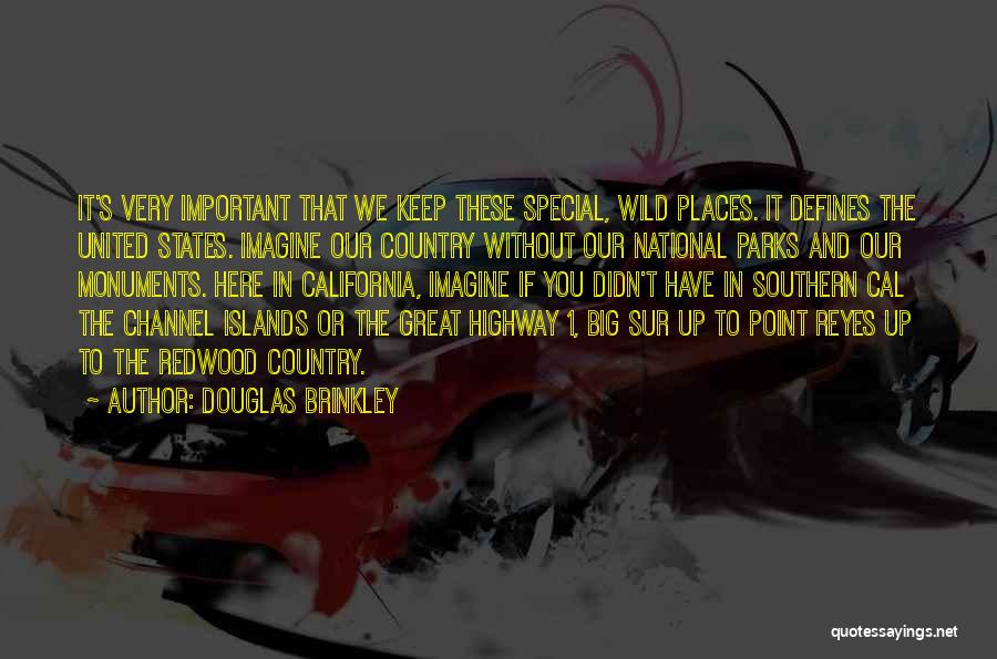Douglas Brinkley Quotes: It's Very Important That We Keep These Special, Wild Places. It Defines The United States. Imagine Our Country Without Our