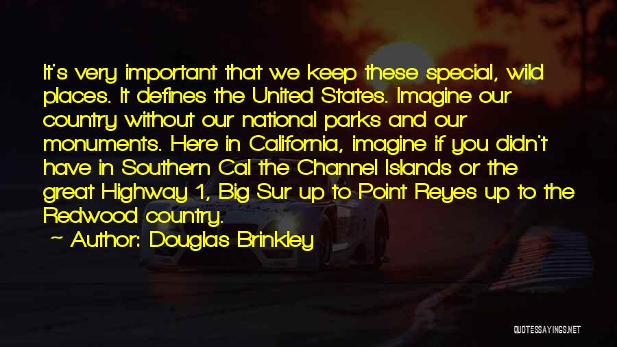 Douglas Brinkley Quotes: It's Very Important That We Keep These Special, Wild Places. It Defines The United States. Imagine Our Country Without Our