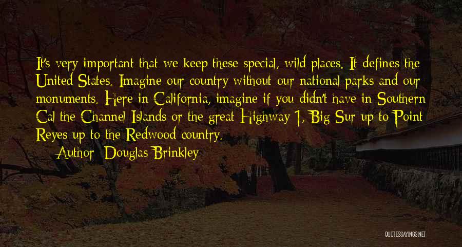 Douglas Brinkley Quotes: It's Very Important That We Keep These Special, Wild Places. It Defines The United States. Imagine Our Country Without Our