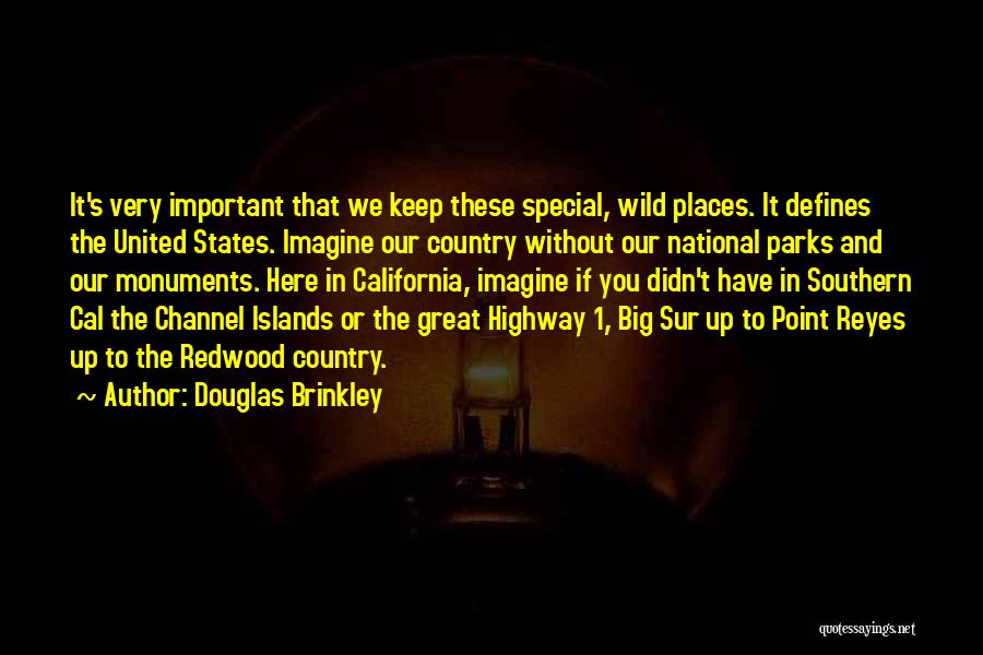 Douglas Brinkley Quotes: It's Very Important That We Keep These Special, Wild Places. It Defines The United States. Imagine Our Country Without Our