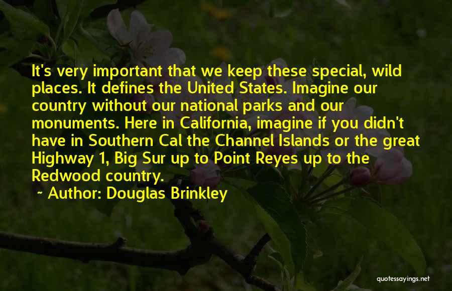 Douglas Brinkley Quotes: It's Very Important That We Keep These Special, Wild Places. It Defines The United States. Imagine Our Country Without Our