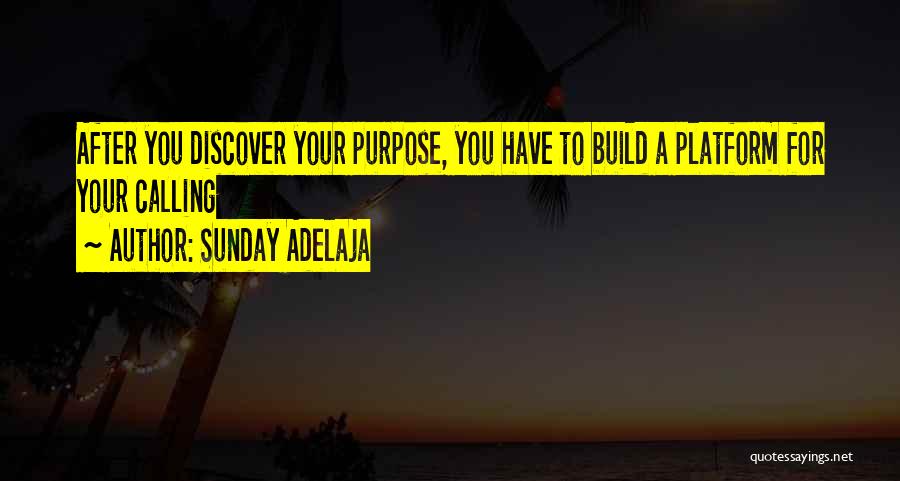 Sunday Adelaja Quotes: After You Discover Your Purpose, You Have To Build A Platform For Your Calling