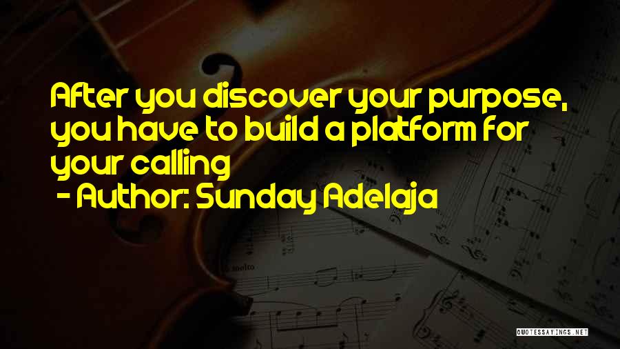 Sunday Adelaja Quotes: After You Discover Your Purpose, You Have To Build A Platform For Your Calling