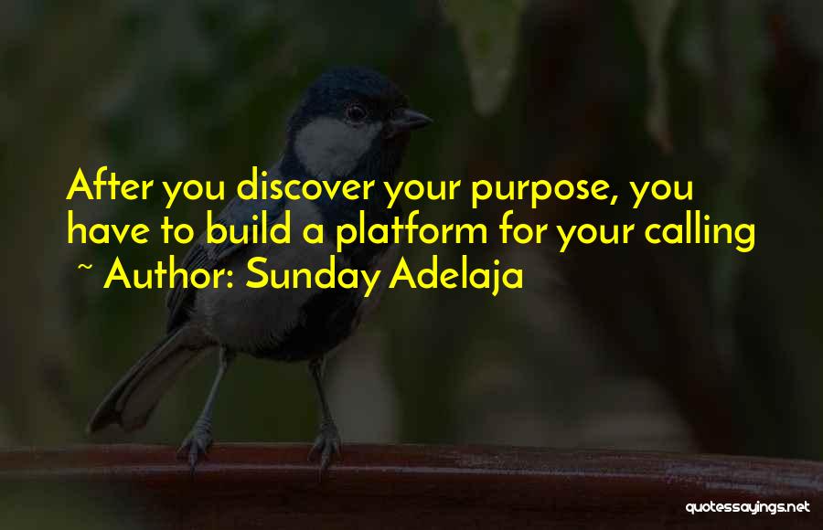 Sunday Adelaja Quotes: After You Discover Your Purpose, You Have To Build A Platform For Your Calling