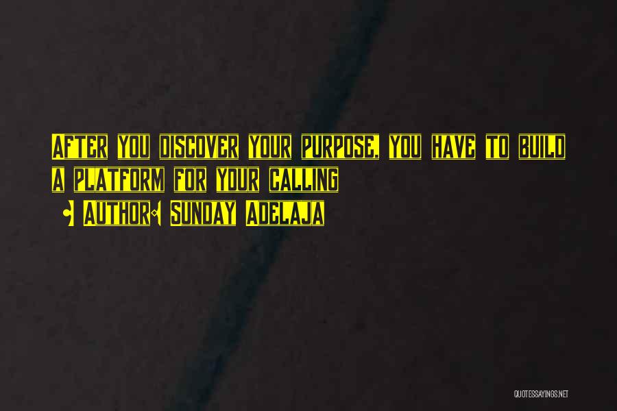 Sunday Adelaja Quotes: After You Discover Your Purpose, You Have To Build A Platform For Your Calling