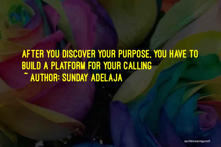 Sunday Adelaja Quotes: After You Discover Your Purpose, You Have To Build A Platform For Your Calling