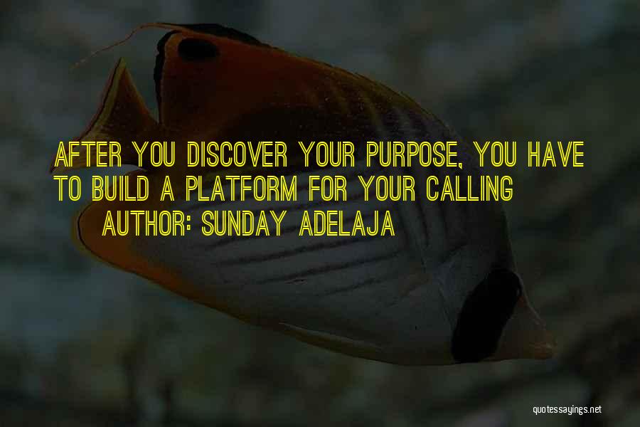 Sunday Adelaja Quotes: After You Discover Your Purpose, You Have To Build A Platform For Your Calling
