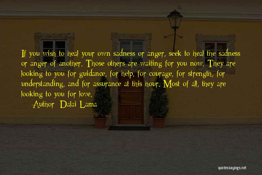 Dalai Lama Quotes: If You Wish To Heal Your Own Sadness Or Anger, Seek To Heal The Sadness Or Anger Of Another. Those