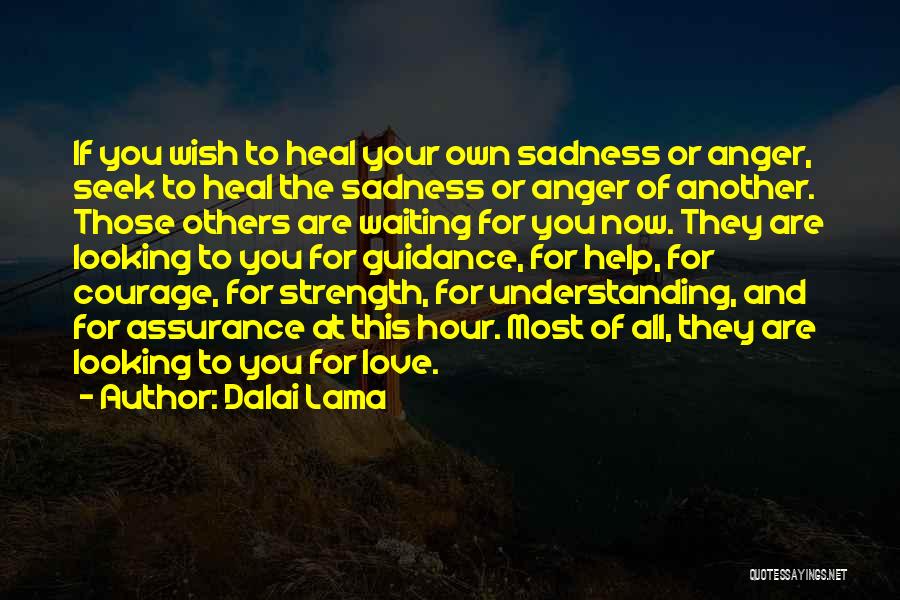 Dalai Lama Quotes: If You Wish To Heal Your Own Sadness Or Anger, Seek To Heal The Sadness Or Anger Of Another. Those