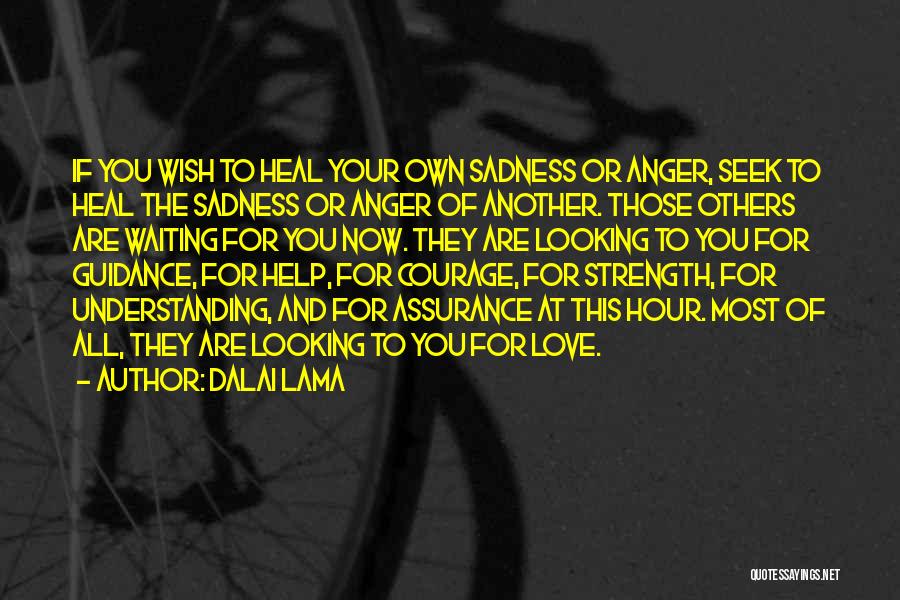 Dalai Lama Quotes: If You Wish To Heal Your Own Sadness Or Anger, Seek To Heal The Sadness Or Anger Of Another. Those