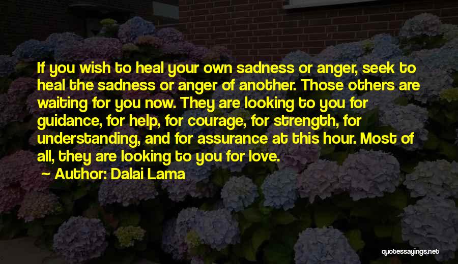 Dalai Lama Quotes: If You Wish To Heal Your Own Sadness Or Anger, Seek To Heal The Sadness Or Anger Of Another. Those