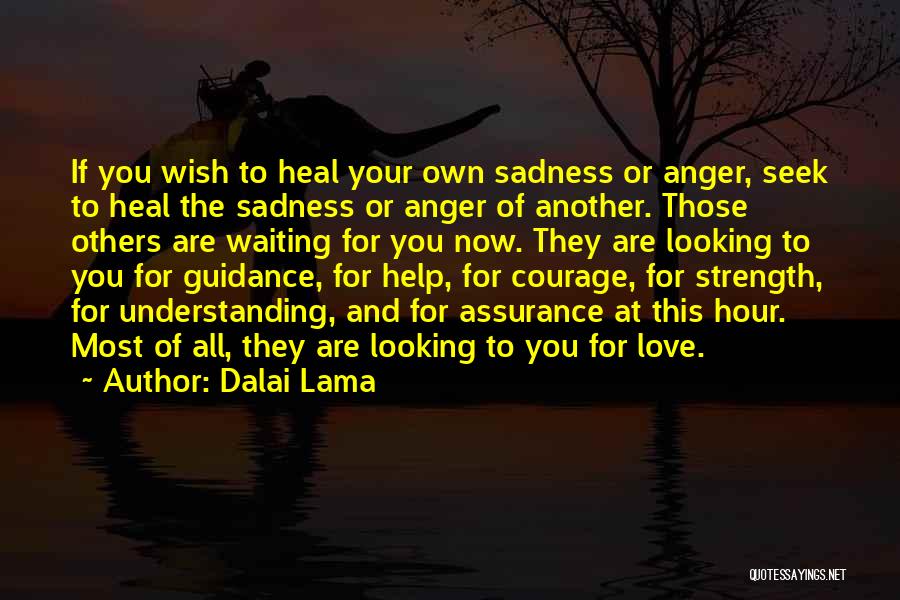 Dalai Lama Quotes: If You Wish To Heal Your Own Sadness Or Anger, Seek To Heal The Sadness Or Anger Of Another. Those