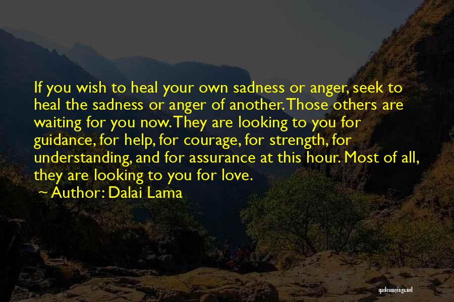 Dalai Lama Quotes: If You Wish To Heal Your Own Sadness Or Anger, Seek To Heal The Sadness Or Anger Of Another. Those