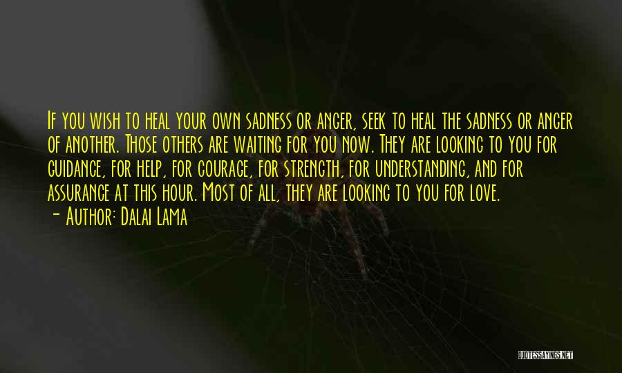 Dalai Lama Quotes: If You Wish To Heal Your Own Sadness Or Anger, Seek To Heal The Sadness Or Anger Of Another. Those