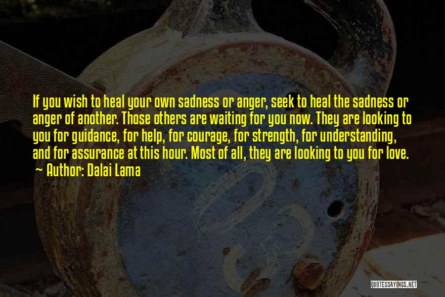 Dalai Lama Quotes: If You Wish To Heal Your Own Sadness Or Anger, Seek To Heal The Sadness Or Anger Of Another. Those