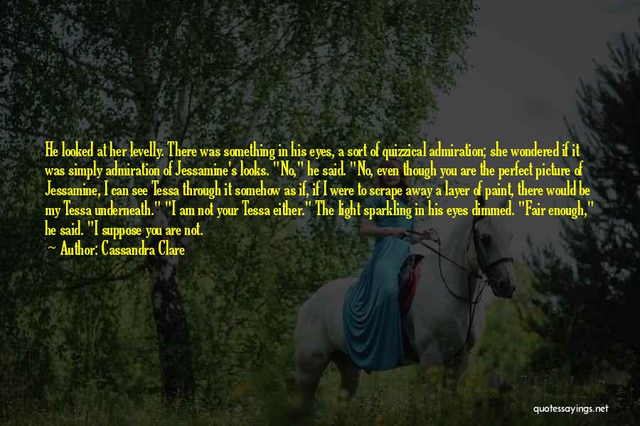 Cassandra Clare Quotes: He Looked At Her Levelly. There Was Something In His Eyes, A Sort Of Quizzical Admiration; She Wondered If It