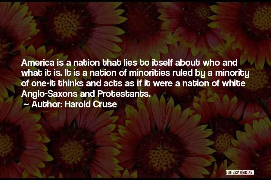 Harold Cruse Quotes: America Is A Nation That Lies To Itself About Who And What It Is. It Is A Nation Of Minorities
