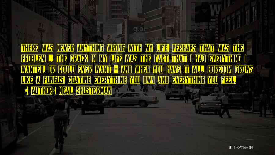 Neal Shusterman Quotes: There Was Never Anything Wrong With My Life. Perhaps That Was The Problem ... The Crack In My Life Was