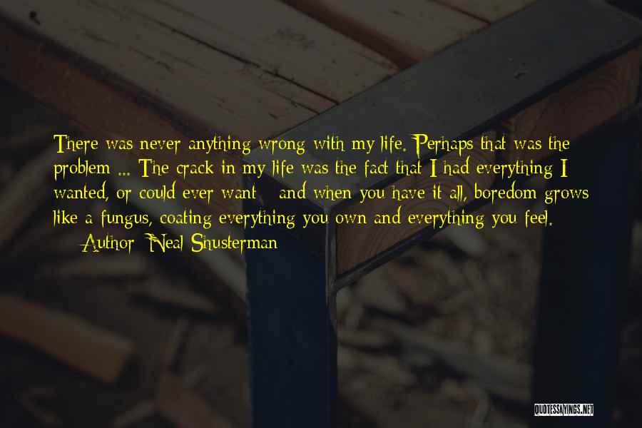 Neal Shusterman Quotes: There Was Never Anything Wrong With My Life. Perhaps That Was The Problem ... The Crack In My Life Was