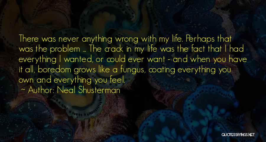 Neal Shusterman Quotes: There Was Never Anything Wrong With My Life. Perhaps That Was The Problem ... The Crack In My Life Was