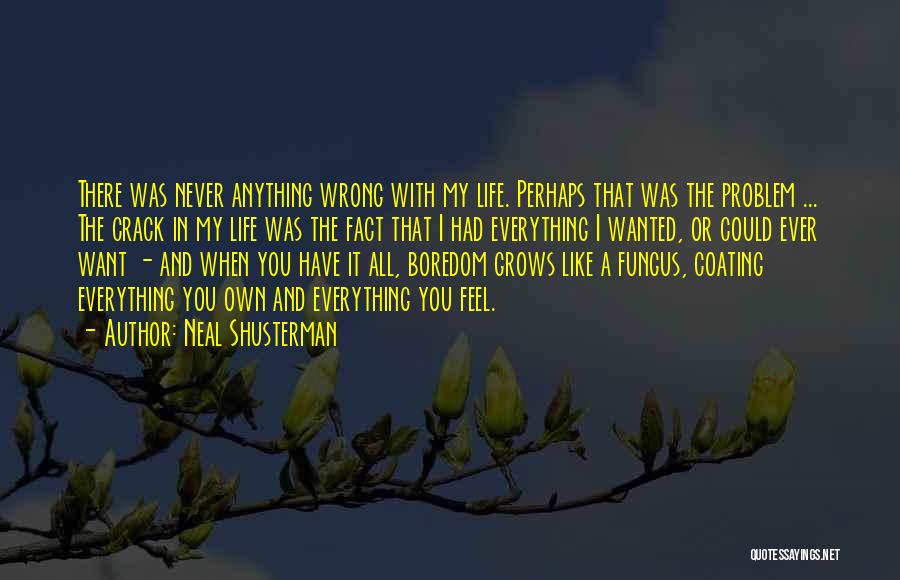 Neal Shusterman Quotes: There Was Never Anything Wrong With My Life. Perhaps That Was The Problem ... The Crack In My Life Was