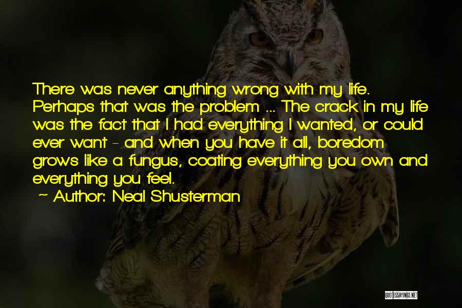 Neal Shusterman Quotes: There Was Never Anything Wrong With My Life. Perhaps That Was The Problem ... The Crack In My Life Was