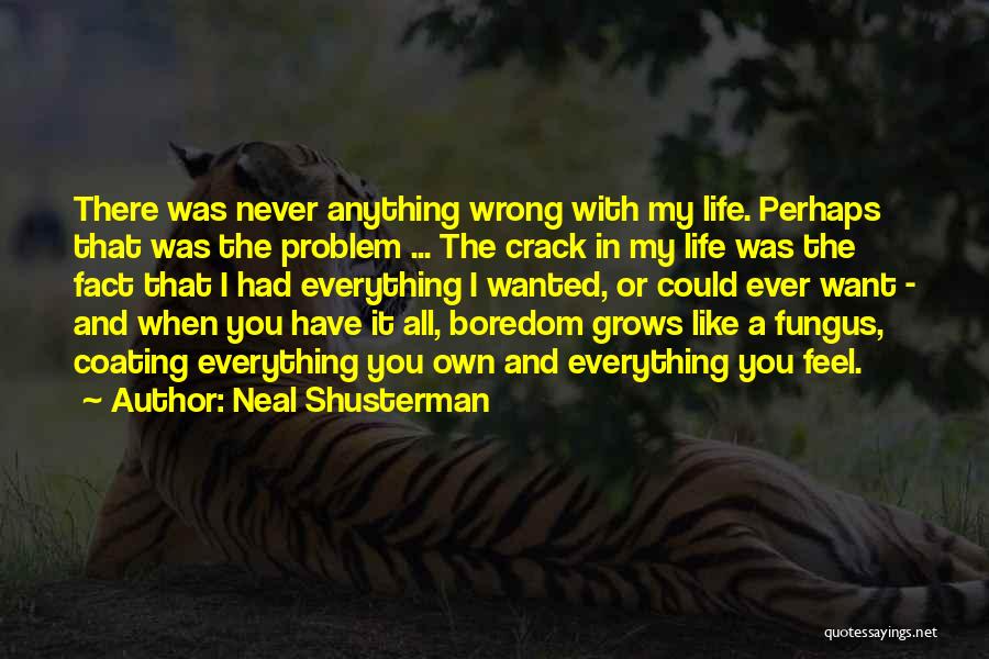 Neal Shusterman Quotes: There Was Never Anything Wrong With My Life. Perhaps That Was The Problem ... The Crack In My Life Was