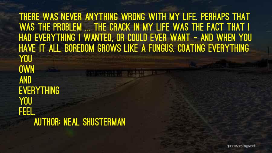 Neal Shusterman Quotes: There Was Never Anything Wrong With My Life. Perhaps That Was The Problem ... The Crack In My Life Was