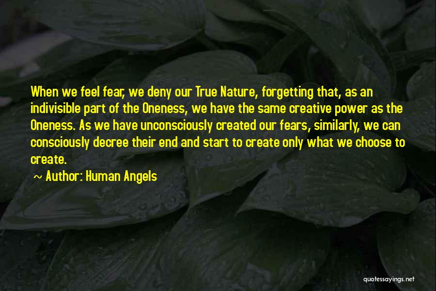 Human Angels Quotes: When We Feel Fear, We Deny Our True Nature, Forgetting That, As An Indivisible Part Of The Oneness, We Have