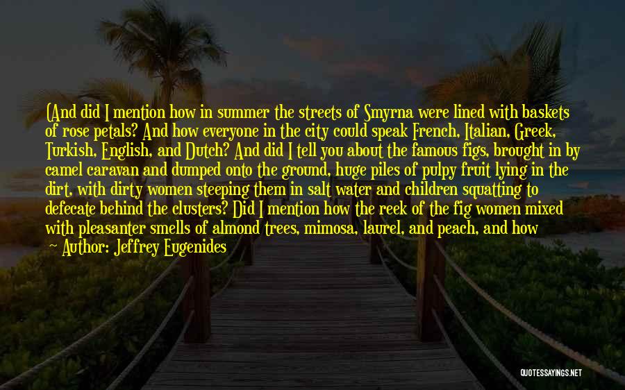 Jeffrey Eugenides Quotes: (and Did I Mention How In Summer The Streets Of Smyrna Were Lined With Baskets Of Rose Petals? And How