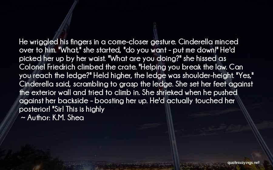 K.M. Shea Quotes: He Wriggled His Fingers In A Come-closer Gesture. Cinderella Minced Over To Him. What, She Started, Do You Want -