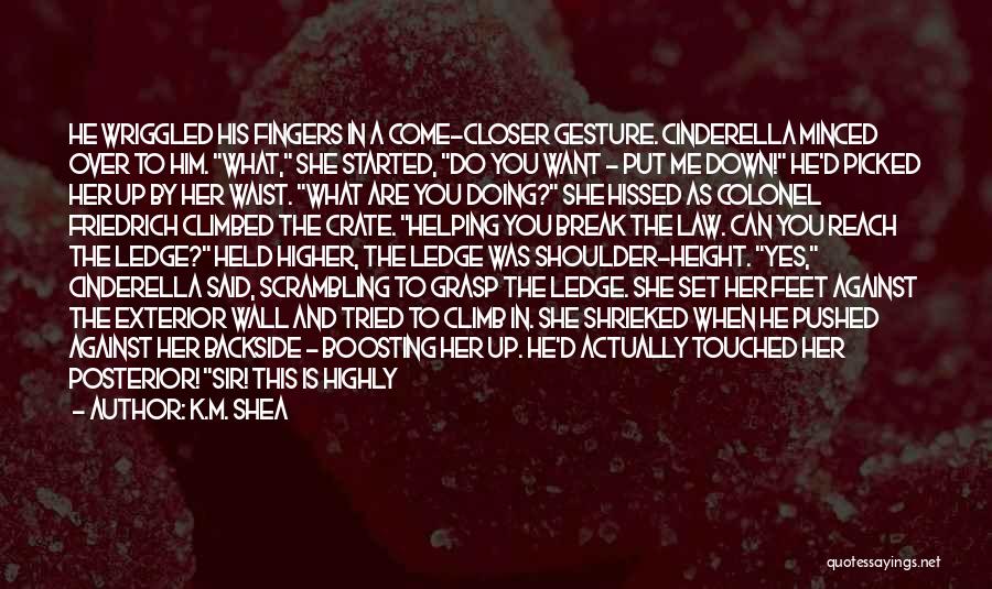 K.M. Shea Quotes: He Wriggled His Fingers In A Come-closer Gesture. Cinderella Minced Over To Him. What, She Started, Do You Want -