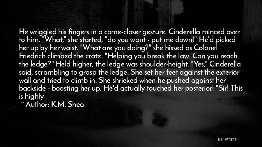 K.M. Shea Quotes: He Wriggled His Fingers In A Come-closer Gesture. Cinderella Minced Over To Him. What, She Started, Do You Want -