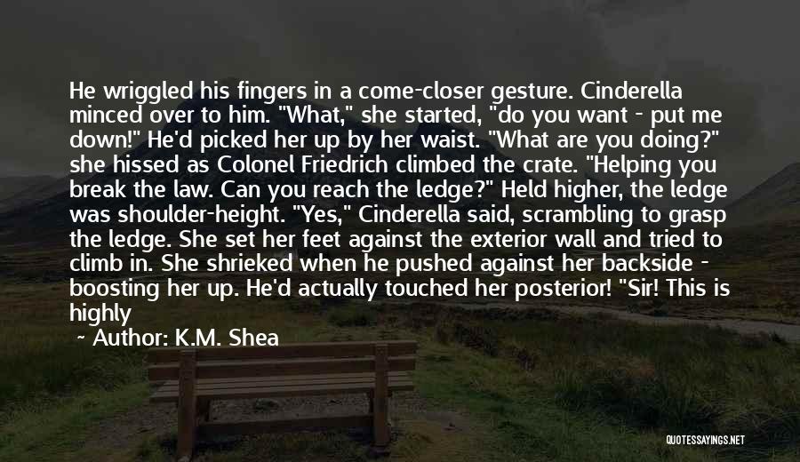 K.M. Shea Quotes: He Wriggled His Fingers In A Come-closer Gesture. Cinderella Minced Over To Him. What, She Started, Do You Want -