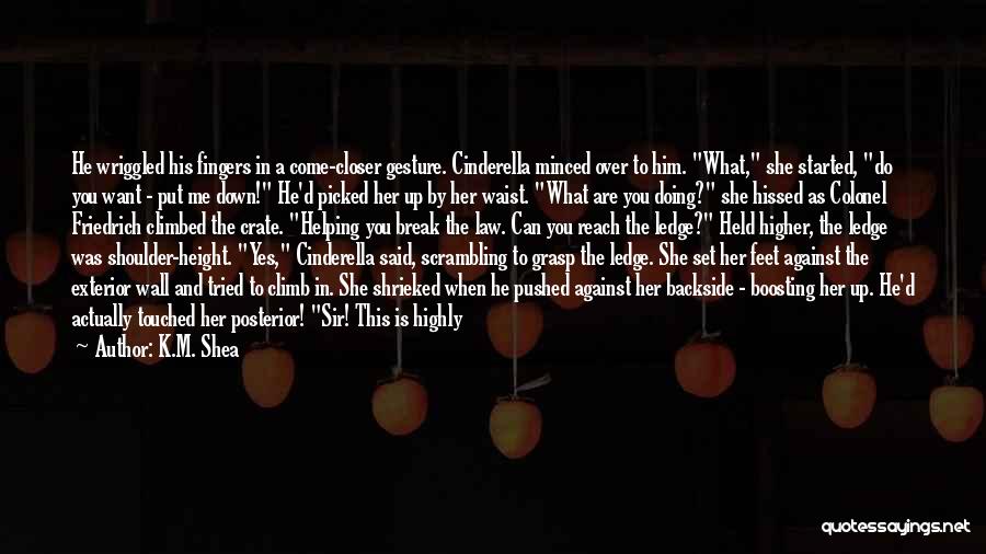 K.M. Shea Quotes: He Wriggled His Fingers In A Come-closer Gesture. Cinderella Minced Over To Him. What, She Started, Do You Want -