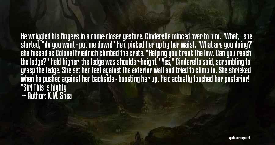 K.M. Shea Quotes: He Wriggled His Fingers In A Come-closer Gesture. Cinderella Minced Over To Him. What, She Started, Do You Want -