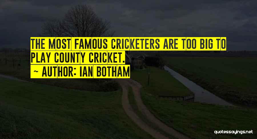 Ian Botham Quotes: The Most Famous Cricketers Are Too Big To Play County Cricket.