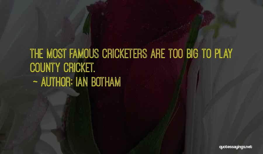 Ian Botham Quotes: The Most Famous Cricketers Are Too Big To Play County Cricket.