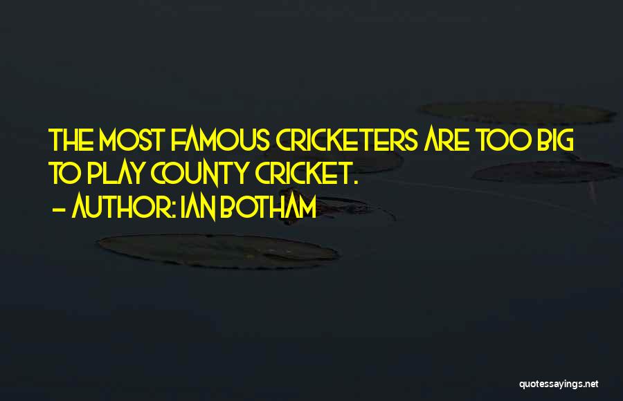 Ian Botham Quotes: The Most Famous Cricketers Are Too Big To Play County Cricket.