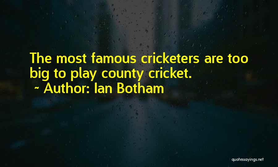 Ian Botham Quotes: The Most Famous Cricketers Are Too Big To Play County Cricket.